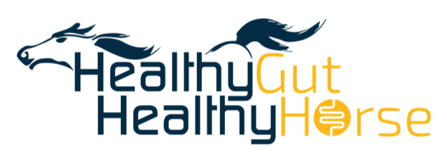 Healthy Gut Healthy Horse